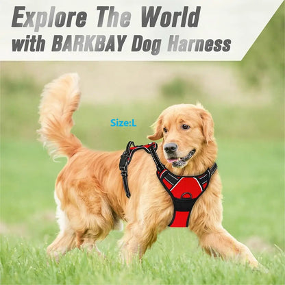 Avyrn StrideEase™ — No-Pull Front Clip Harness