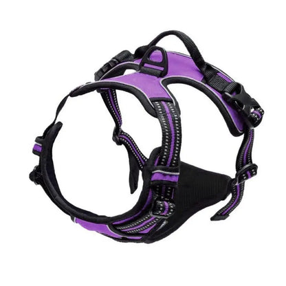 Avyrn StrideEase™ — No-Pull Front Clip Harness