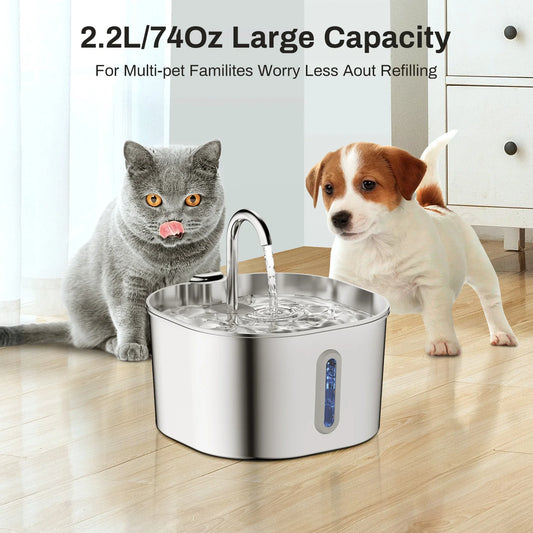 Avyrn ClearFlow™ — 2.2L Filtered Automatic Pet Fountain