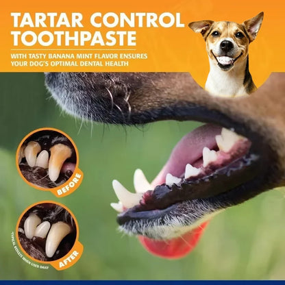 Pet Cleaning Tools Kit Dog Gum Care Products Kit Reduces Plaque & Tartar Buildup for Pet Universal Toothpaste Toothbrush Set